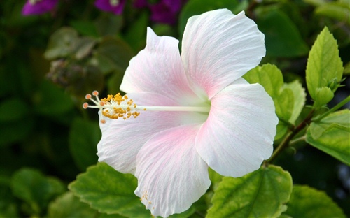 人与人之间的相处说说