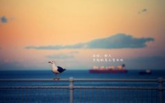 关于责任创业的励志名言