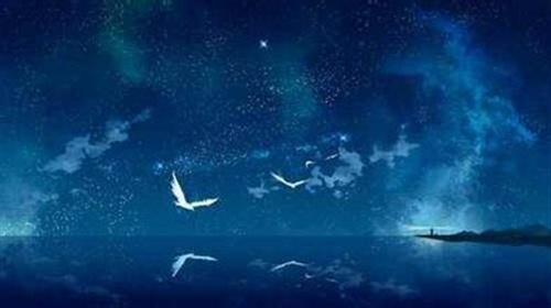 歌颂老师的优美句子