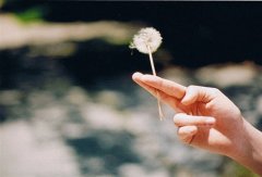 发朋友圈旅游的精彩句子