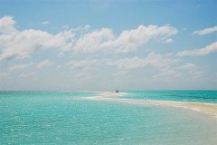 新的一周开始精美语句