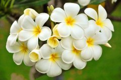 送给老师的简短一句话