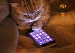 简单的一句话发朋友圈晚安