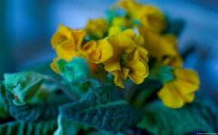 二年级小朋友要向老师说的话