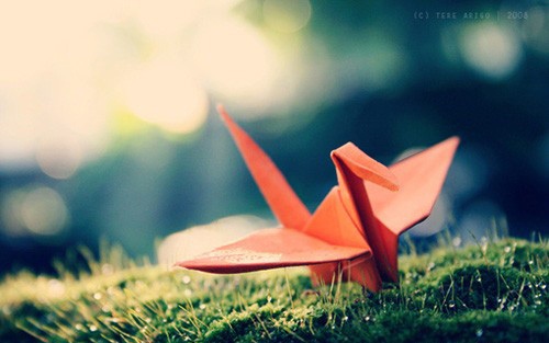 感人暖心真诚的表白句子