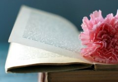 用一句话表达对女儿的爱