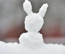 描写寒冷冬天下雪的场景的句子