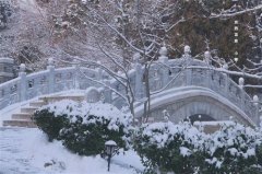 形容一夜之间下雪的唯美句子