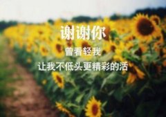 32条触动心灵的一句话经典句子