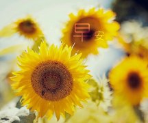 关于上午对朋友的问候语 上午的问候语适合朋友圈