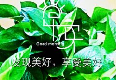 群发朋友圈的早上暖心的早安问候语