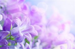 为武汉加油的暖心句子 发朋友圈武汉加油的句子