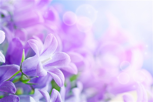 为武汉加油的暖心句子 发朋友圈武汉加油的句子