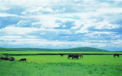 形容春天的美的短句子 描写早春的优美句子