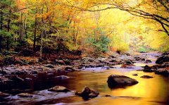 适合男生发朋友圈的励志句子