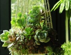 那些备忘录里的宝藏句子