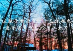 适合抄在课本上的文艺句子