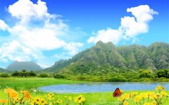 小学生优美句子摘抄大全