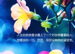 励志坚持正能量语录