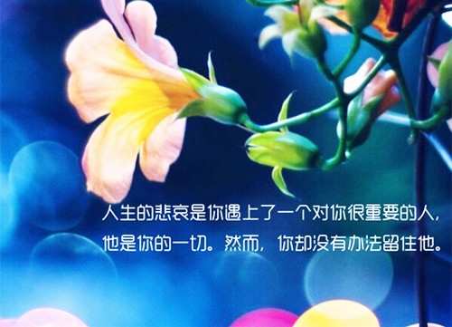 励志坚持正能量语录