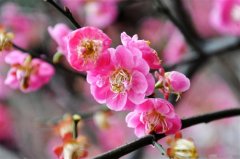 尊重每一个人的经典语录