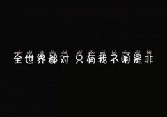 霸气社会经典语录
