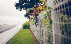 打动女朋友的一大段暖心话