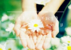 伤感语录看了想哭的