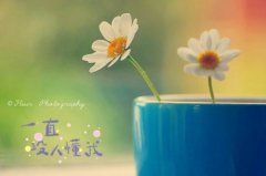 适合发朋友圈的心情短句