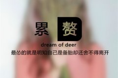 感情很累很想放下的句子
