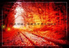 失去一个人的伤感说说