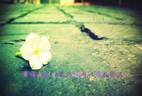 积极向上的句子30字左右