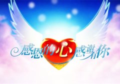 感恩节早安心语正能量语录