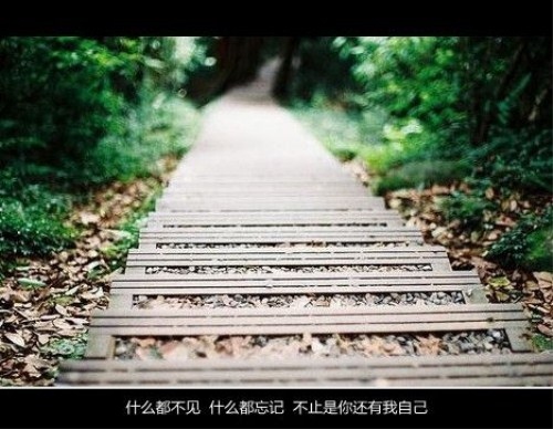 伤感不易懂的句子