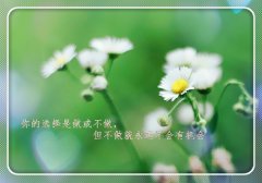 表达平平淡淡生活的句子