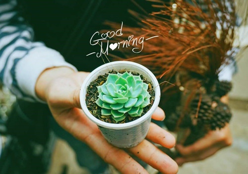 微信朋友圈深度句子早安