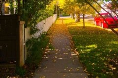 形容落叶的句子唯美 一地落叶的伤感句子