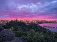 感谢过年不回家的你说说句子