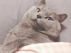 腰疼想发朋友圈的句子