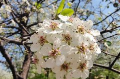 春风正好微风不燥的说说