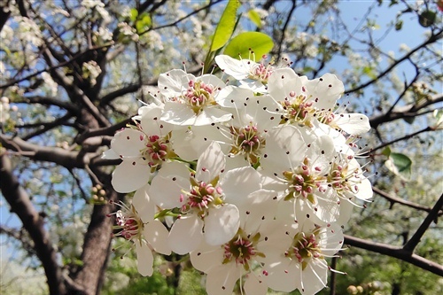 春风正好微风不燥的说说