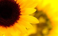 行动起来的正能量句子