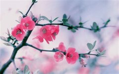 做妈不易经典语录