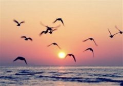 早起看日出的心情句子