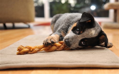 适合大清早发的朋友圈的幽默句子