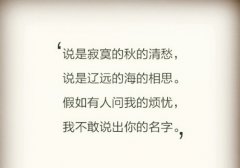 我终究是个外人的说说