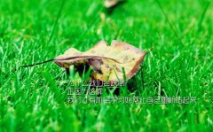 年轻多吃苦的励志句子