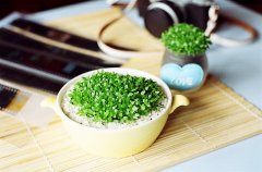 抖音里自娱自乐的说说