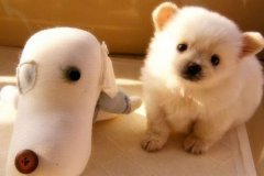 朋友圈早安可爱说说文案