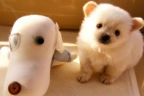 朋友圈早安可爱说说文案